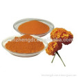 Marigold Flower Extract Lutein 20%